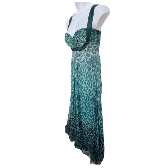 Tadashi Collection Teal Silk Ombre Leopard Maxi Dress with Satin Trim size 10 - Picture 5 of 16